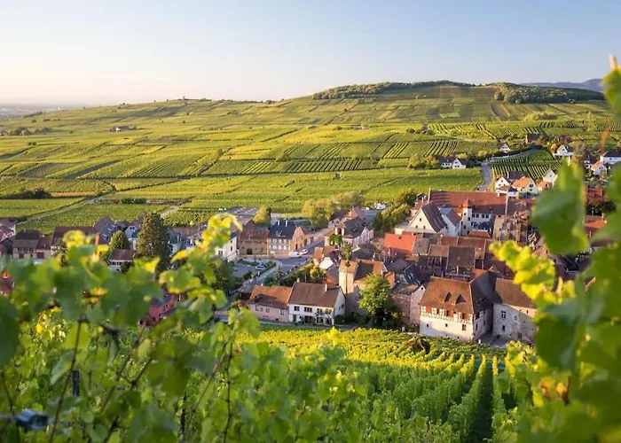 Chez Lucie Proche Gare Et Centre * كولمار
